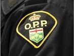 Toddler dead after drowning in St. Lawrence River near Kingston