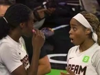 Fan throws sex toy onto court during key moment in WNBA game