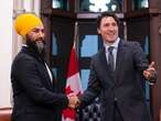 LILLEY: Jagmeet Singh's NDP lose all credibility backing Trudeau