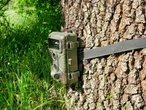 DEAR ABBY: Cheating husband outed by newly installed trail camera