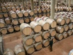 Italy to remain top wine producer in world: 2025 estimates