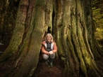 Finding The Mother Tree author digs deep into forest renewal for new book