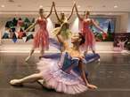 Goh Ballet's Nutcracker back to set holiday mood