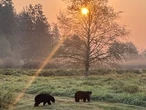 10 fun family friendly Metro Vancouver outings for adults and children