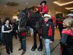 Tuffy's travels: Calgary Grey Cup Committee horse upholds long tradition