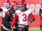 West semifinal for Calgary Stampeders: Battle of former QB teammates in CFL playoffs