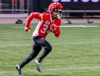 Stampeders' special teams in 2026: The skinny, the units, the questions ...