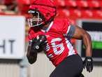 Stampeders running back Dedrick Mills driven by tragic deaths of best friend and cousin