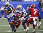 Calgary Stampeders show improvement, still fall to Winnipeg Blue Bombers