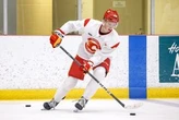 Calgary Flames draft pick Theo Stockselius has inspiring back-story, bright future
