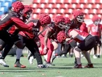Coach expects Calgary Stampeders to 'be sharp' in 2025 home debut