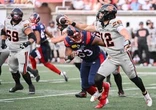 GM Maciocia content, but not satisfied, with Alouettes' record