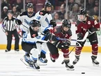 Stu Cowan: Women's hockey the big winner at sold-out Bell Centre