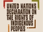 Karen Restoule: B.C. Aboriginal title chaos the predictable result of NDP virtue-signalling