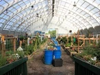 Jamie Sarkonak: DEI gardening — the new Liberal priority for agriculture