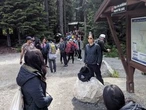 Caroline Elliott: Closures of B.C. parks to non-Indigenous visitors a sign of things to come