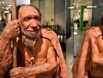 This aspect of Neanderthals' lifestyle may have led to their extinction