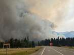 How much did Jasper's dead, beetle-killed trees feed the runaway wildfire?