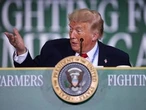 Kelly McParland: Trump is a wounded bear, Canada is an easy target