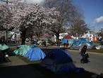 Julian Somers: Victoria's Pandora Avenue is a hive of misery. But as its name suggests, there’s hope