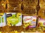 Some claim seed oils like canola are bad for you. How worried should you be?