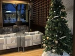 Student request to display menorah prompts University of Alberta to remove Christmas trees instead
