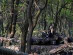 Russian soldiers tied to tree for refusing to fight, activists say