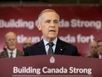 Michael Higgins: Mark Carney's Major Projects Office is a fraud