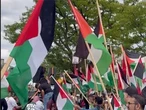 'There was chaos': Milton, Ont., councillor files complaint with police over 'illegal' anti-Israel protest