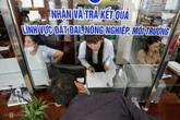 Chủ tịch xã, phường được phạt vi phạm đất đai đến 250 triệu đồng