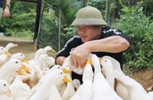 Bộ Y tế: Sẽ quản lý thực phẩm từ trang trại tới bàn ăn
