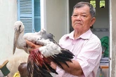 Lời kêu cứu của lão nông giữ vườn chim quý ở miền Tây