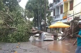 Mưa giông quật đổ hàng chục cây xanh, đè hai ôtô