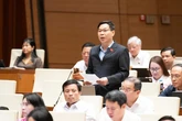 Đề xuất giảm giá dịch vụ trong ngày nghỉ lễ 24/11