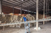Thiếu đất sét, làng gốm đỏ trăm tuổi ở Vĩnh Long nguy cơ ngừng lửa
