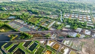 Nhiều hộ chưa đồng thuận mức bồi thường vụ cá chết gần sân bay Cà Mau