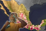 En menos de 24 horas tendremos uno de los picos más altos de temperatura en México de 2026. Después viene otra vez el frío 