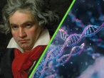 Alguien ha analizado el ADN del cabello de Beethoven y tiene sorpresas sobre su vida 200 años después 