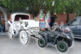 Muchos vendieron sus caballos para comprar cuatrimotos y mover sus calandrias en Rosarito. Ha sido un gran desastre  