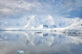 En la Antártida, un glaciar está robando hielo a su vecino: científicos detectan "piratería de hielo" a un ritmo jamás visto 
