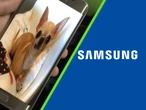 Teclea el código *#0*# en un celular Samsung y se revelará el secreto mejor guardado de la compañía 