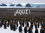 "Es un trabajo detectivesco excepcional". Este programador reinició Linux 300.000 veces para encontrar un fallo 