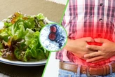 El origen del brote de diarrea en EE.UU. vuelve a quedar en duda: la prueba contra la lechuga mexicana era falsa 