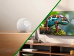 Nuevos Echo con Alexa, televisores "económicos", una cámara Ring y actualización del Fire TV: esto es lo nuevo de Amazon en México para 2025 