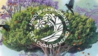 CDMX quiere proteger a sus árboles más valiosos: ahora puedes postular uno para que sea Patrimonio Natural