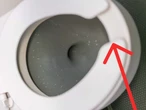 Llevas toda la vida viendo inodoros con asiento en forma de U y probablemente nunca te preguntaste por qué existen 