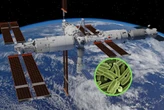 El día que China descubrió algo inusual en su estación espacial: una superbacteria resistente que "desafía todo lo conocido" 