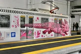 CDMX estrenó unidades del Tren Ligero para el Mundial 2026 y horas después apareció el primer problema: agua dentro de los vagones 