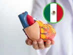 México logra su primer corazón artificial tras 25 años de investigación: Cofepris lo aprueba y está listo para usarse 