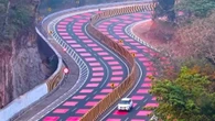 India pintó sus carretera de rojo en reservas naturales por un motivo: reducir atropellos de animales usando la psicología del color 